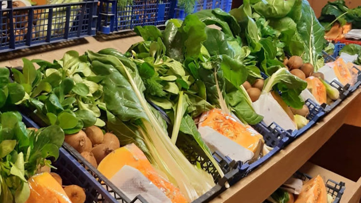 Quoi de bon en novembre ?