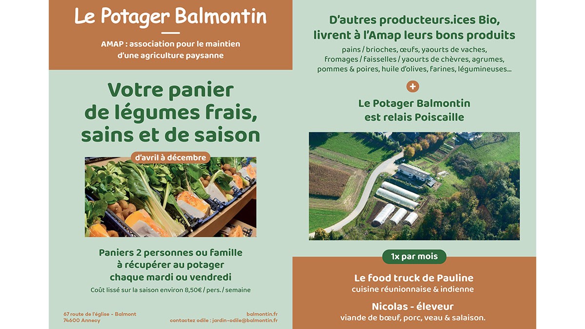 Les paniers de légumes du Potager Balmontin : frais, sains et de saison
